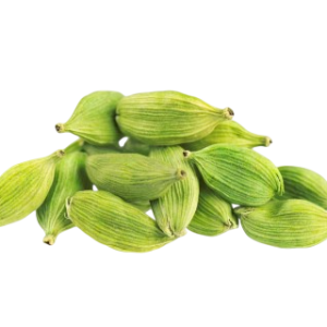 Cardamom-Extract-Elettaria-cardamomum-1-scaled-1-Photoroom.png
