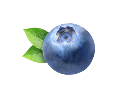 Blueberry-PNG-Clipart.png