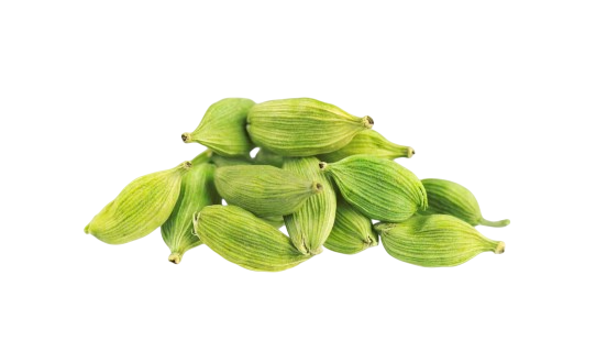 Cardamom-Extract-Elettaria-cardamomum-1-scaled-1-Photoroom.png